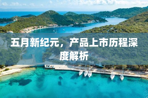 五月新纪元，产品上市历程深度解析