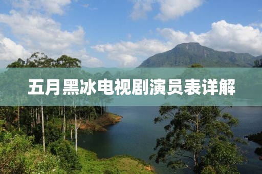 五月黑冰电视剧演员表详解