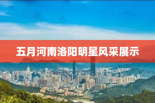 五月河南洛阳明星风采展示
