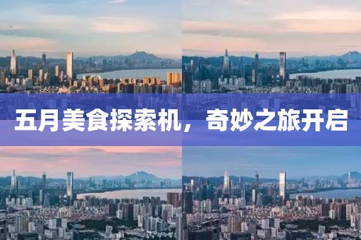 五月美食探索机，奇妙之旅开启