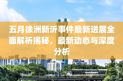 五月徐洲新沂事件最新进展全面解析揭秘，最新动态与深度分析