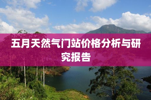 五月天然气门站价格分析与研究报告