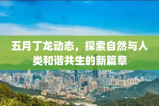 五月丁龙动态，探索自然与人类和谐共生的新篇章