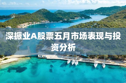 深振业A股票五月市场表现与投资分析