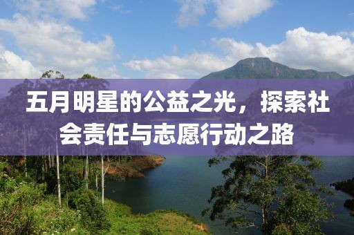五月明星的公益之光，探索社会责任与志愿行动之路
