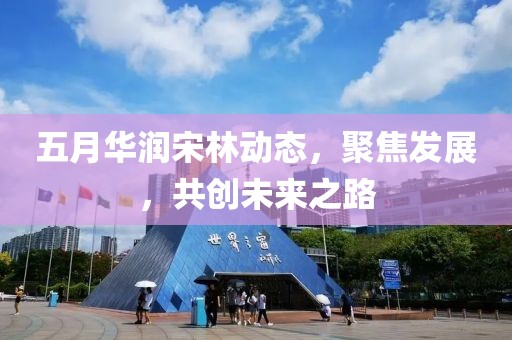 五月华润宋林动态，聚焦发展，共创未来之路