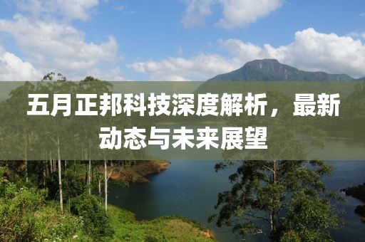 五月正邦科技深度解析，最新动态与未来展望