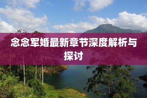 念念军婚最新章节深度解析与探讨