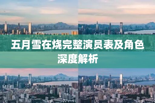 五月雪在烧完整演员表及角色深度解析
