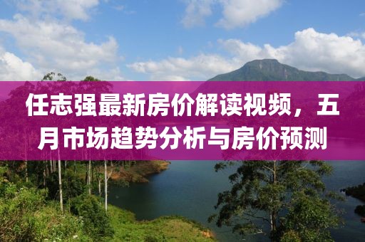 任志强最新房价解读视频，五月市场趋势分析与房价预测