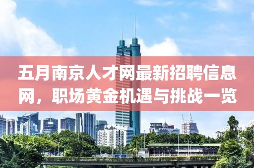 五月南京人才网最新招聘信息网，职场黄金机遇与挑战一览