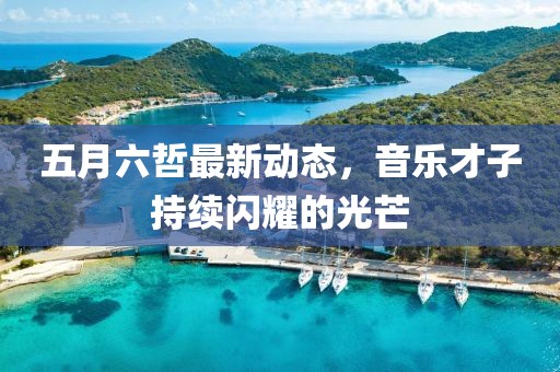 五月六哲最新动态，音乐才子持续闪耀的光芒