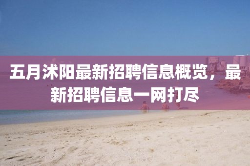 五月沭阳最新招聘信息概览，最新招聘信息一网打尽