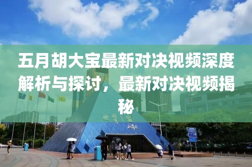 五月胡大宝最新对决视频深度解析与探讨，最新对决视频揭秘