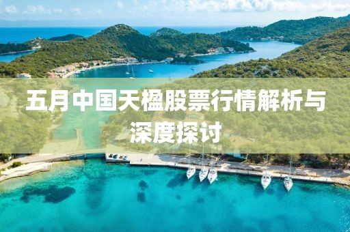 五月中国天楹股票行情解析与深度探讨