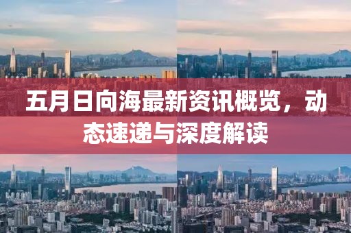 五月日向海最新资讯概览，动态速递与深度解读