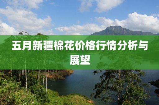 五月新疆棉花价格行情分析与展望