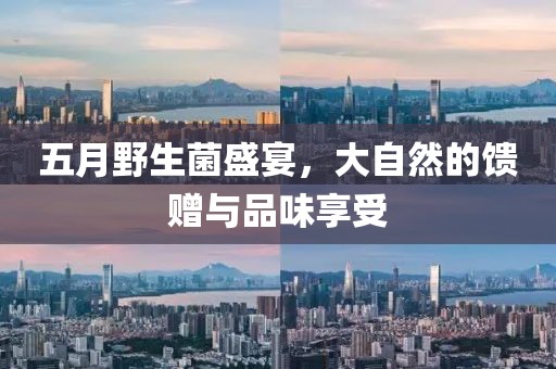 五月野生菌盛宴，大自然的馈赠与品味享受