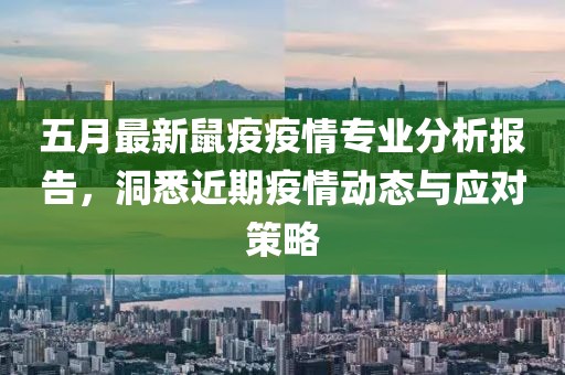 五月最新鼠疫疫情专业分析报告，洞悉近期疫情动态与应对策略