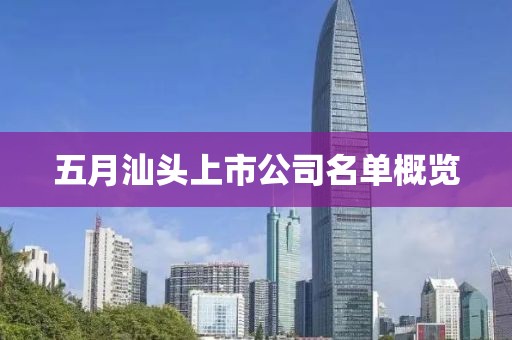 五月汕头上市公司名单概览