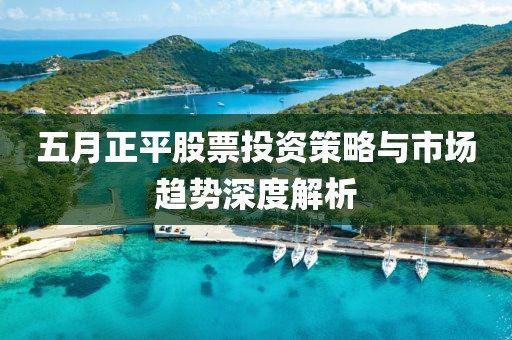 五月正平股票投资策略与市场趋势深度解析