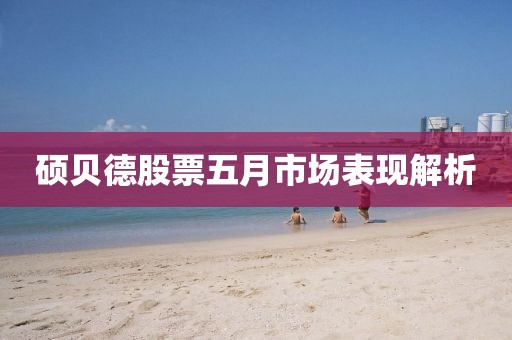 硕贝德股票五月市场表现解析
