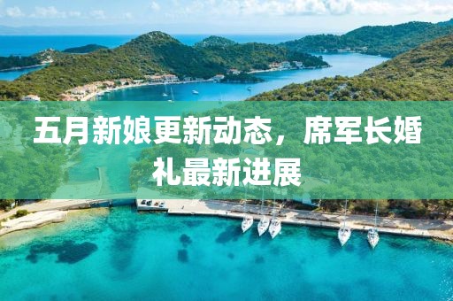 五月新娘更新动态，席军长婚礼最新进展
