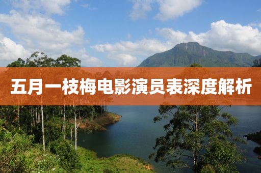 五月一枝梅电影演员表深度解析
