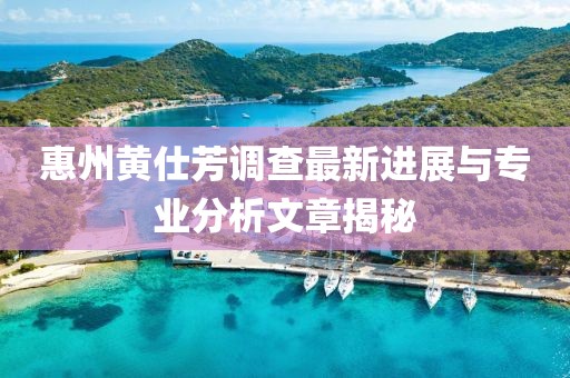 惠州黄仕芳调查最新进展与专业分析文章揭秘