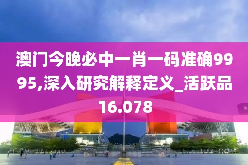 澳门今晚必中一肖一码准确9995,深入研究解释定义_活跃品16.078