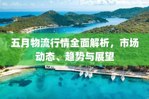 五月物流行情全面解析，市场动态、趋势与展望