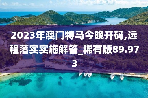 2023年澳门特马今晚开码,远程落实实施解答_稀有版89.973