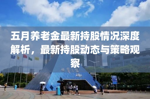 五月养老金最新持股情况深度解析，最新持股动态与策略观察