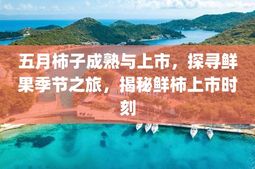 五月柿子成熟与上市，探寻鲜果季节之旅，揭秘鲜柿上市时刻
