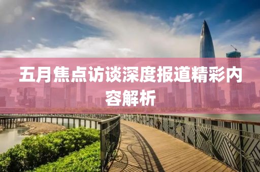 五月焦点访谈深度报道精彩内容解析