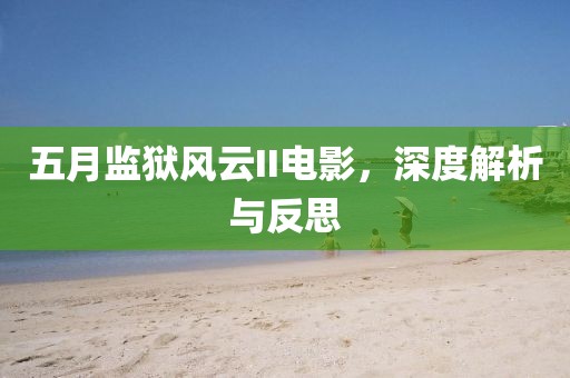 五月监狱风云II电影，深度解析与反思