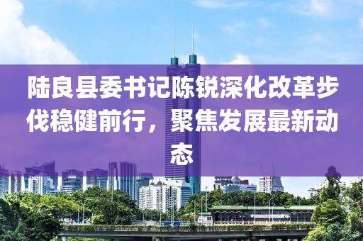 陆良县委书记陈锐深化改革步伐稳健前行，聚焦发展最新动态