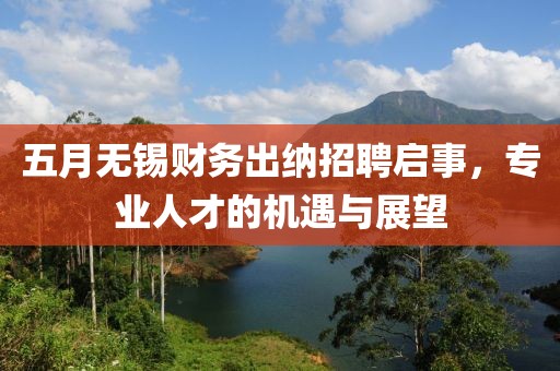 五月无锡财务出纳招聘启事，专业人才的机遇与展望