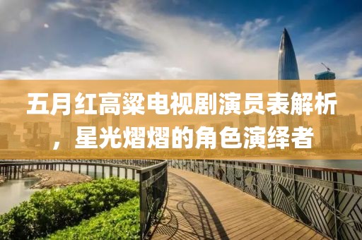 五月红高粱电视剧演员表解析，星光熠熠的角色演绎者