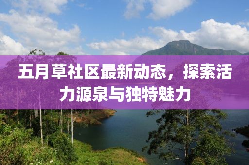 五月草社区最新动态，探索活力源泉与独特魅力