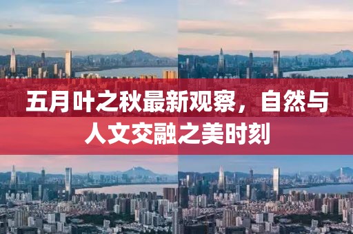 五月叶之秋最新观察，自然与人文交融之美时刻