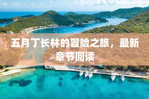 五月丁长林的冒险之旅，最新章节阅读