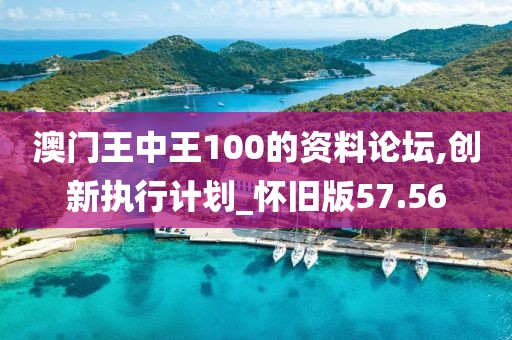 澳门王中王100的资料论坛,创新执行计划_怀旧版57.56