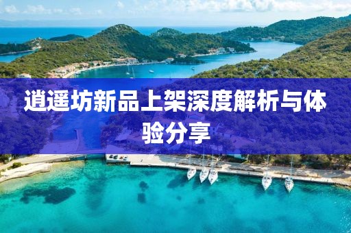 逍遥坊新品上架深度解析与体验分享