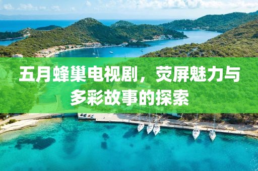 五月蜂巢电视剧，荧屏魅力与多彩故事的探索