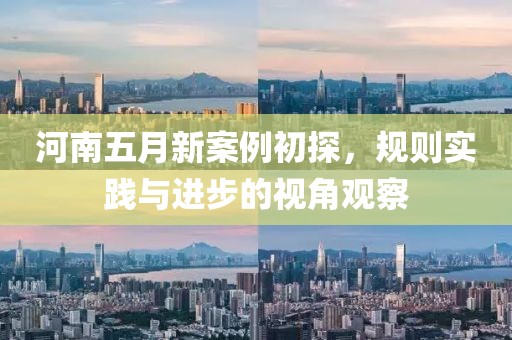 河南五月新案例初探，规则实践与进步的视角观察