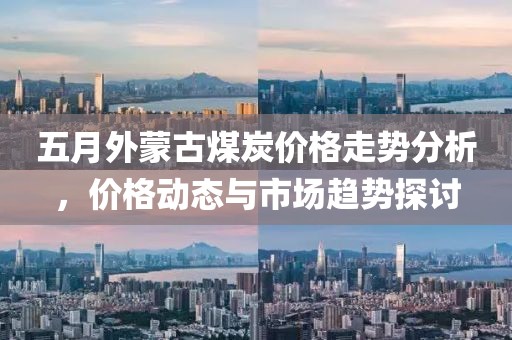 五月外蒙古煤炭价格走势分析，价格动态与市场趋势探讨