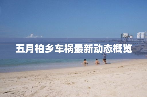 五月柏乡车祸最新动态概览