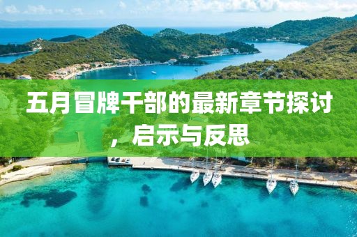 五月冒牌干部的最新章节探讨，启示与反思