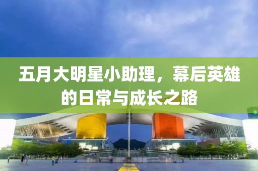 五月大明星小助理，幕后英雄的日常与成长之路